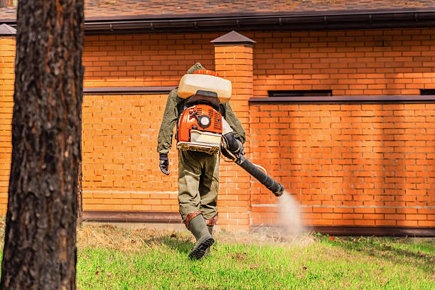 Trusted Cockroach Control service in Lakeview, GA - Nex Pest Control